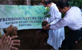 World environmental day celebration