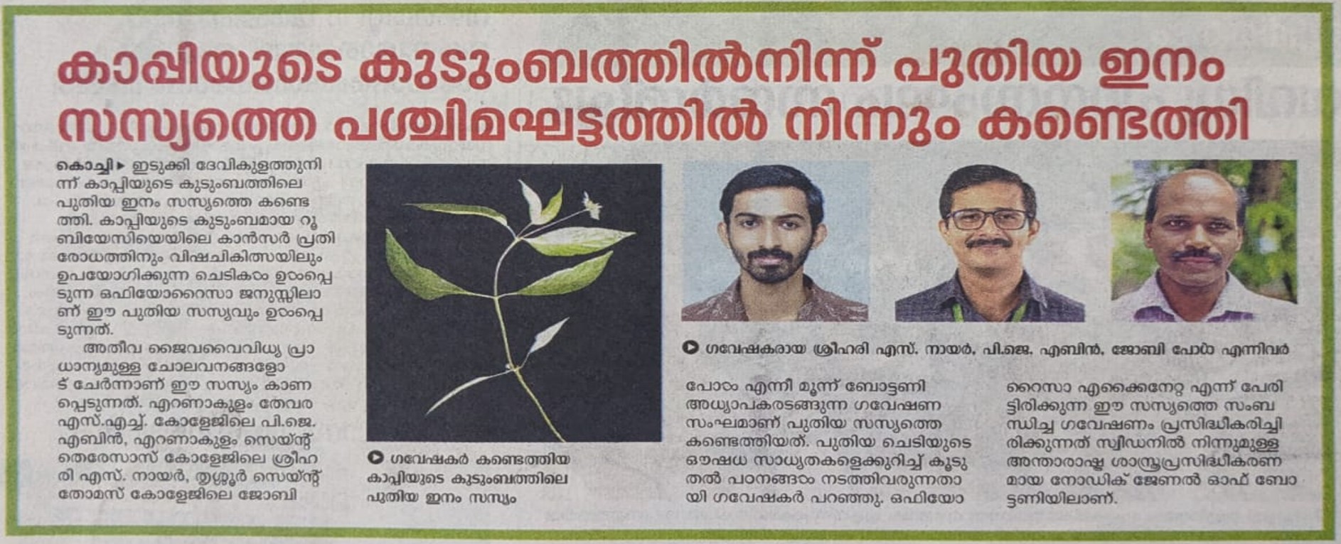 A new species, Ophiorrhiza echinata (Rubiaceae), has been published from the Western Ghats.