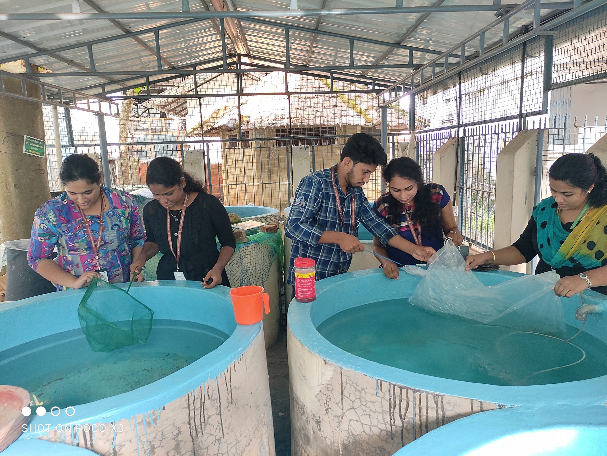 Fish hatchery