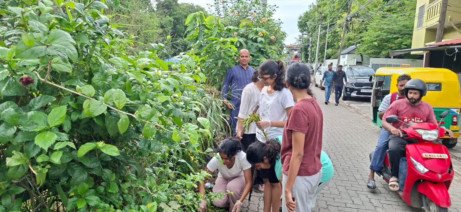 NSS Volunteers Develop and Beautify Garden at Panampilly Nagar on World Environment Day (1)