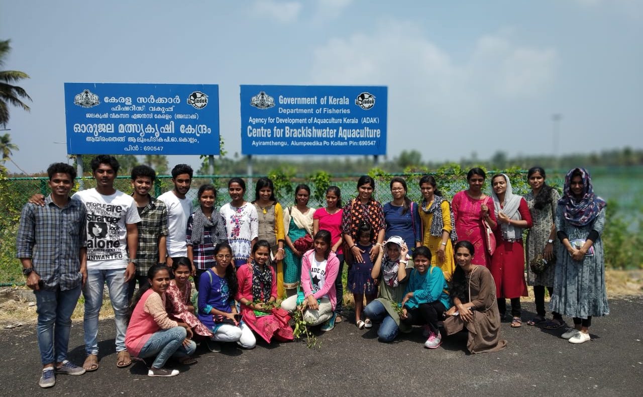 Study tour to Centre for Brackish water Aquaculture at Ayiramthengu, Kayamkulam