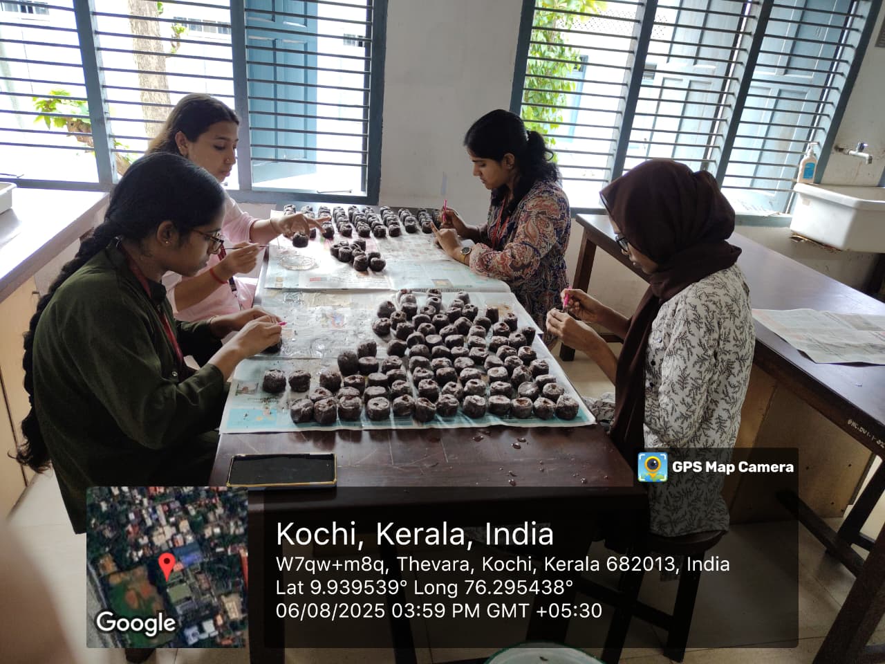 Vegetable Seedling Distribution
