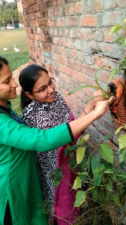 BIRTHDAY CELEBRATION BY PLANTING SAPLINGS